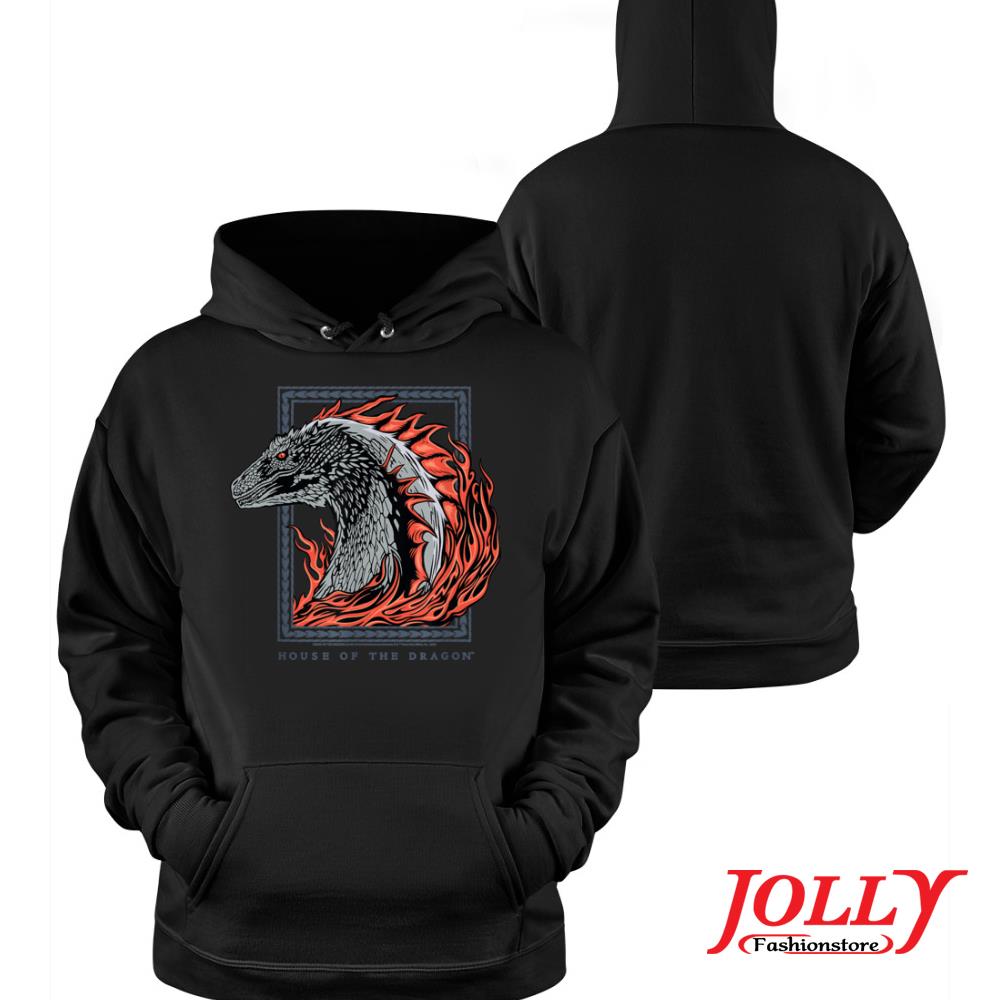 House of the dragon from the flames s Hoodie